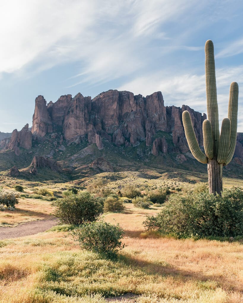 picture of Lost Dutchman state park
